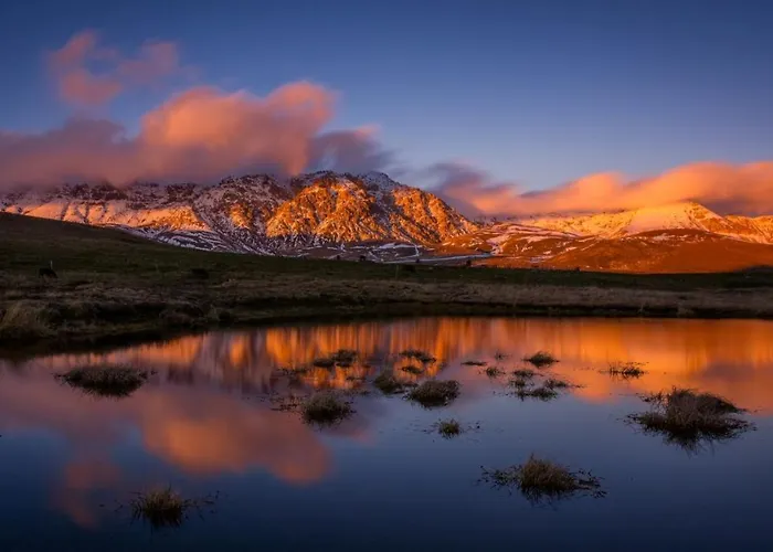 Apartamento La Casetta Del Mercato *